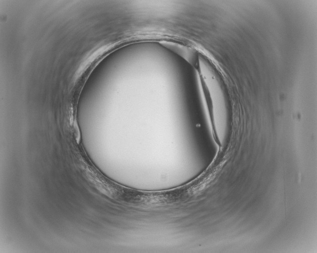 X0000059801461200511111548