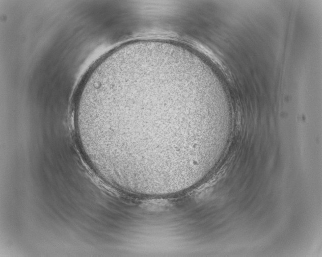 X0000059801462200511111548