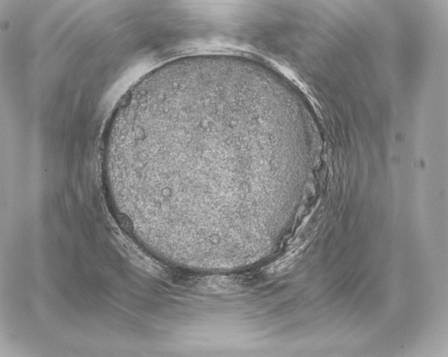 X0000059801463200511111548