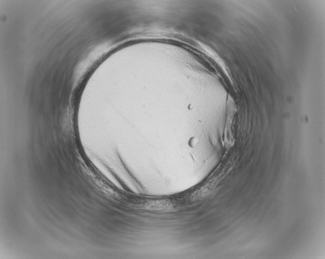 X0000059801464200511111548