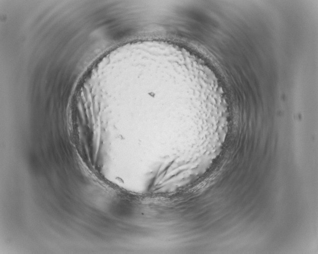 X0000059801466200511111548