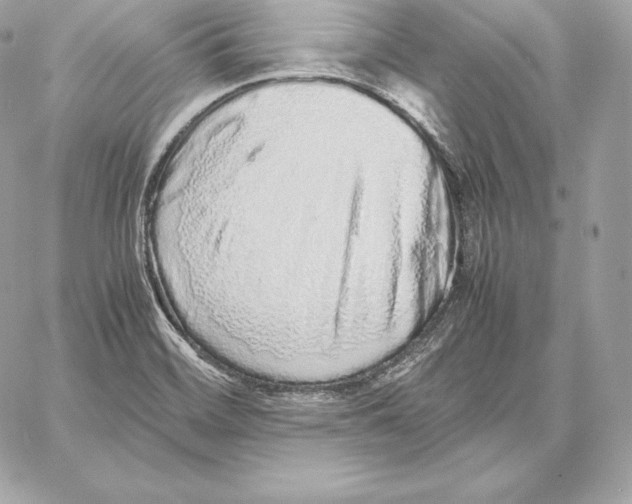 X0000059801468200511111548