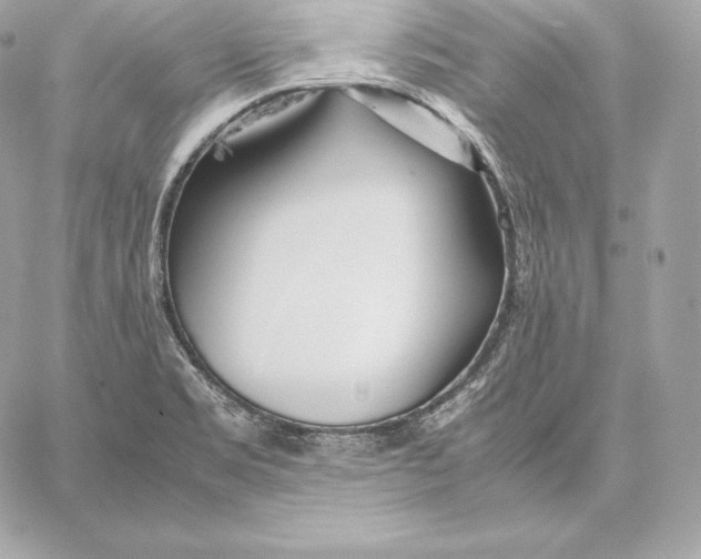 X0000059801469200511111548