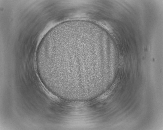 X0000059801470200511111548