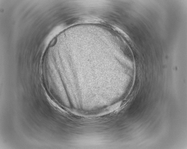 X0000059801471200511111548