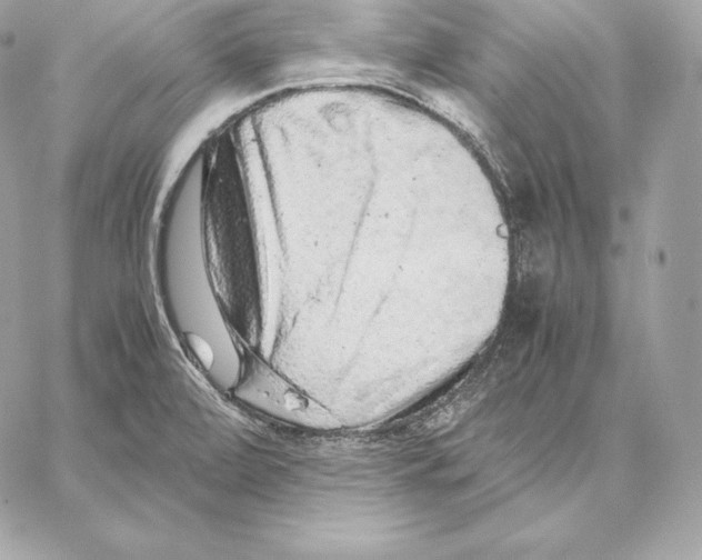 X0000059801472200511111548