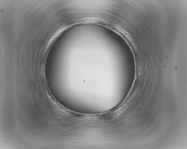 X0000059801473200511111548