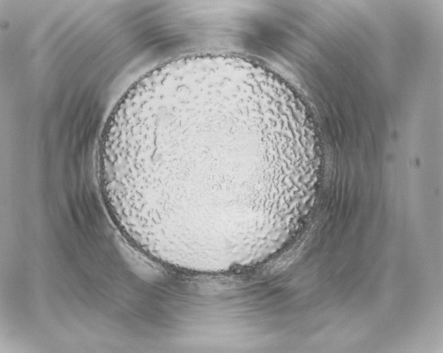 X0000059801474200511111548