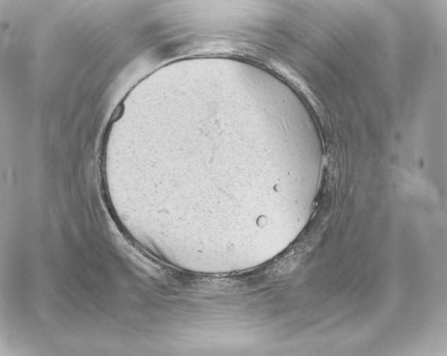 X0000059801475200511111548