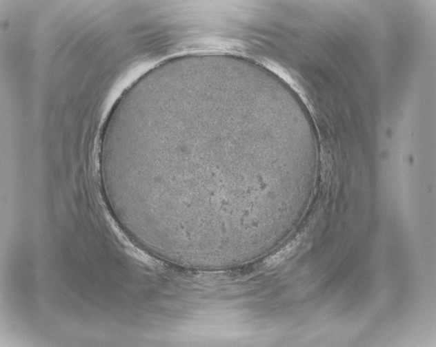 X0000059801477200511111548