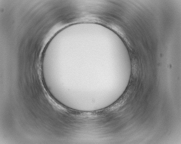 X0000059801478200511111548