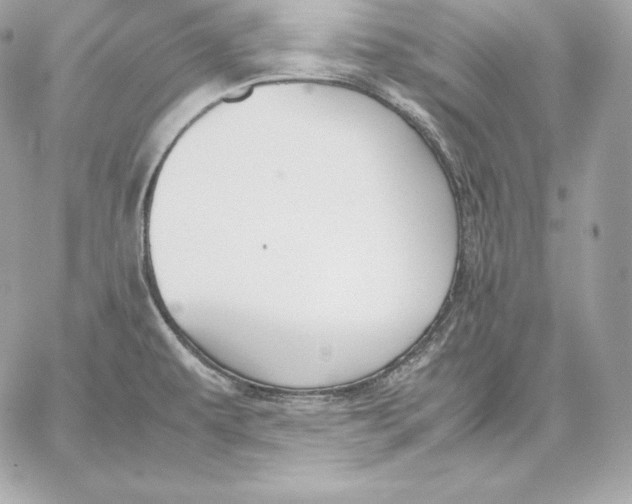 X0000059801479200511111548