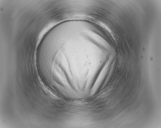 X0000059801480200511111548