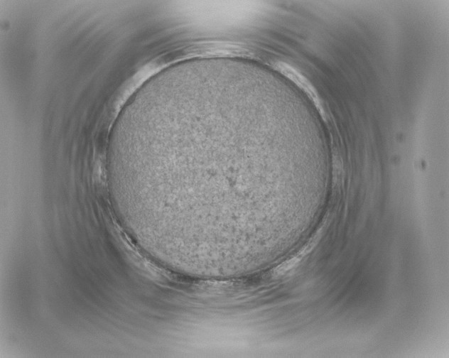 X0000059801481200511111548