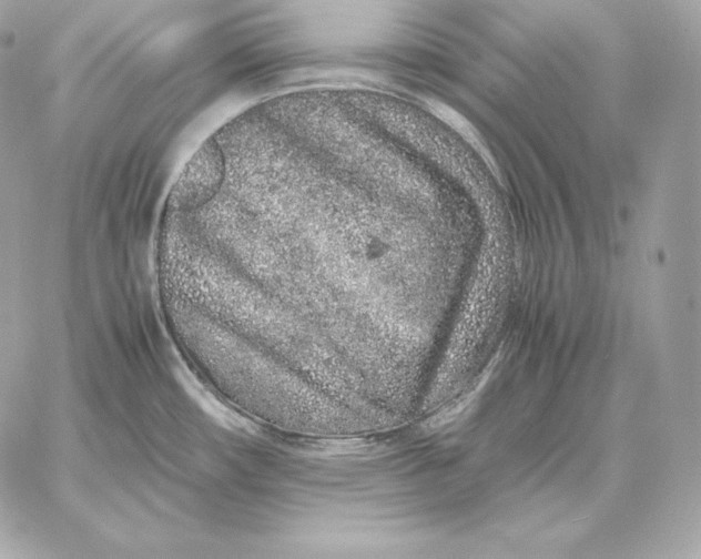 X0000059801482200511111548