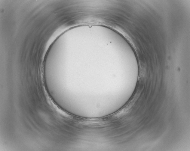 X0000059801486200511111548