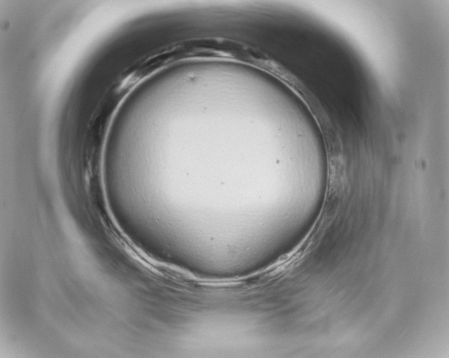 X0000059801487200511111548