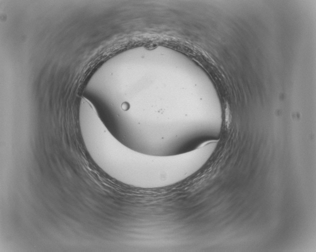 X0000059801492200511111547