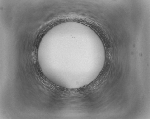 X0000059801493200511111547