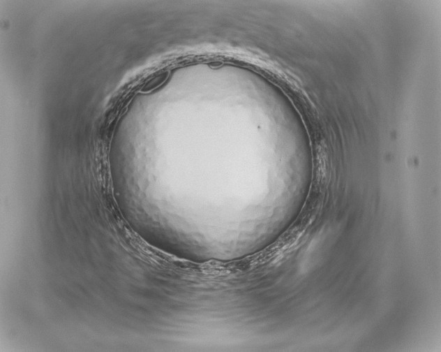 X0000059801494200511111547