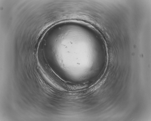 X0000059801497200511111547