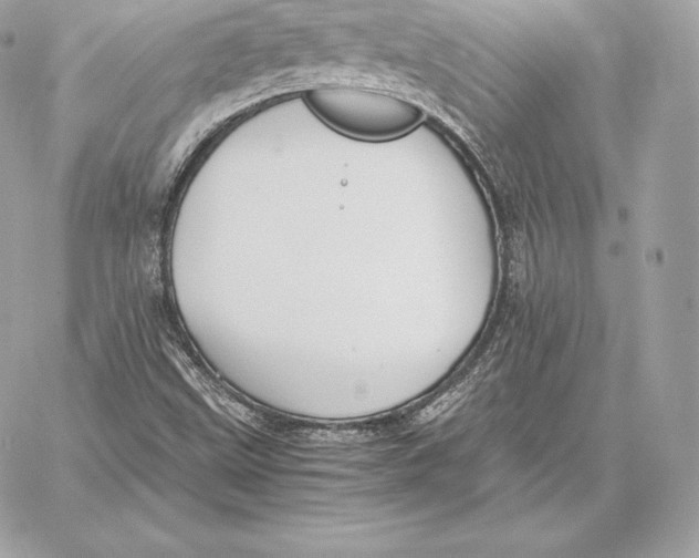 X0000059801499200511111547