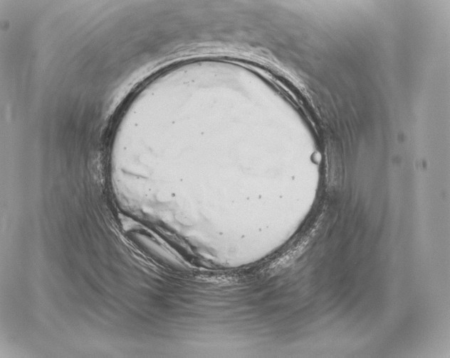 X0000059801501200511111547