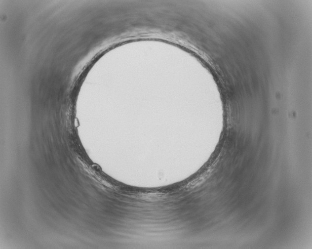 X0000059801502200511111547