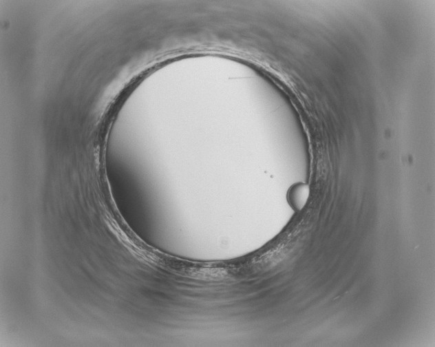 X0000059801503200511111547