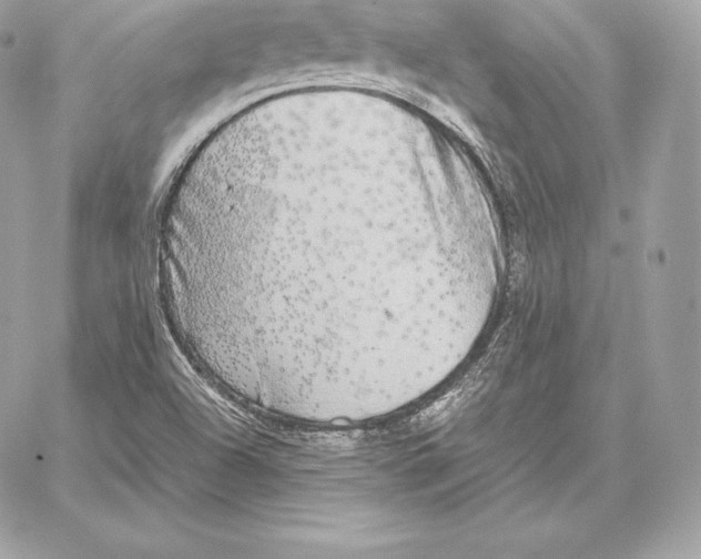 X0000059801504200511111547