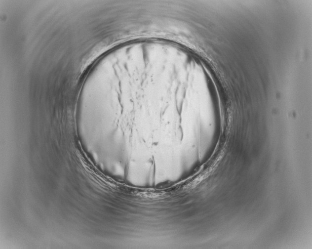 X0000059801505200511111547