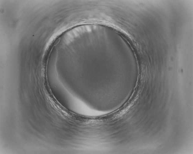 X0000059801506200511111547