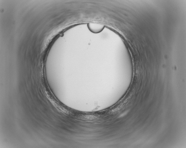 X0000059801507200511111547