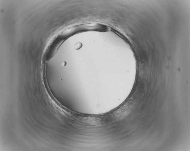 X0000059801508200511111548