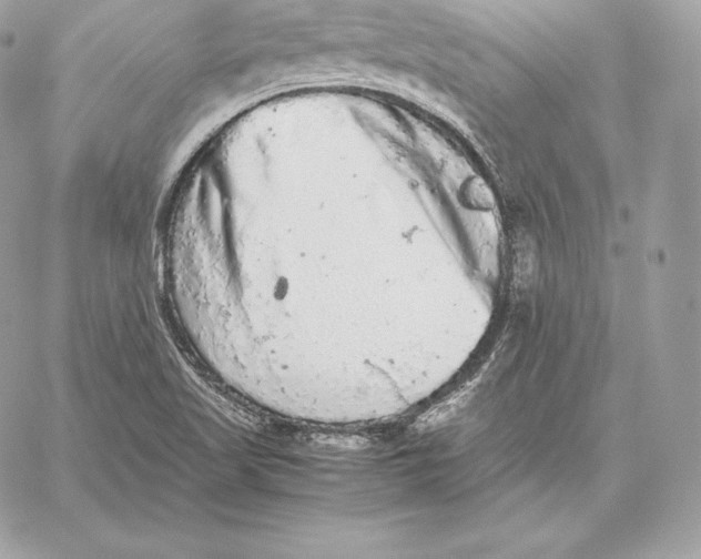 X0000059801509200511111548