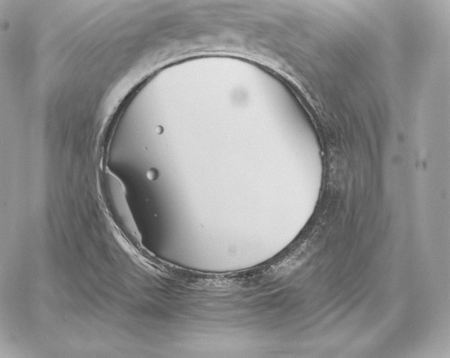 X0000059801511200511111548