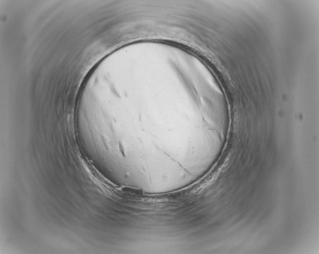 X0000059801513200511111548