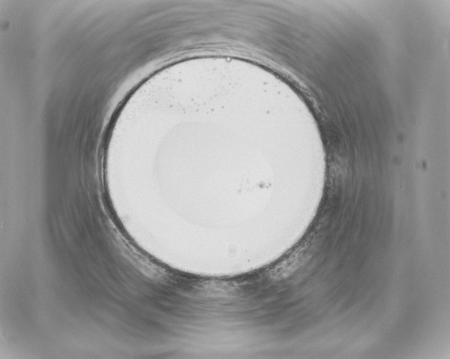 X0000059801514200511111548