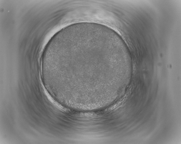 X0000059801515200511111548