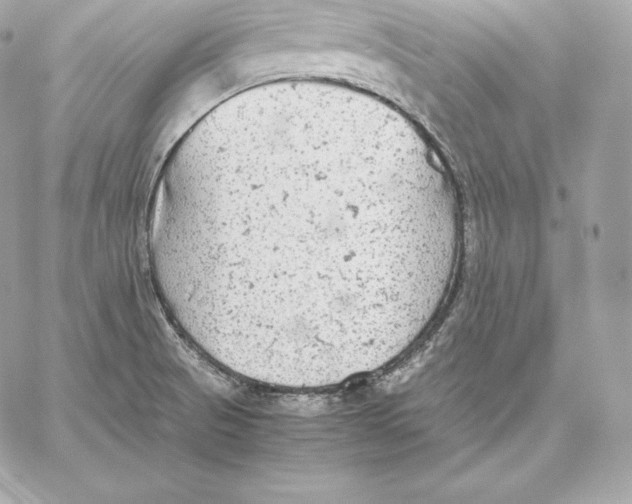 X0000059801521200511111548