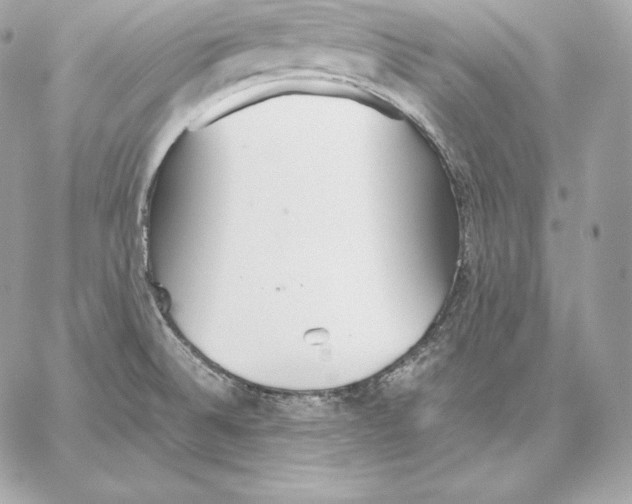 X0000059801524200511111548