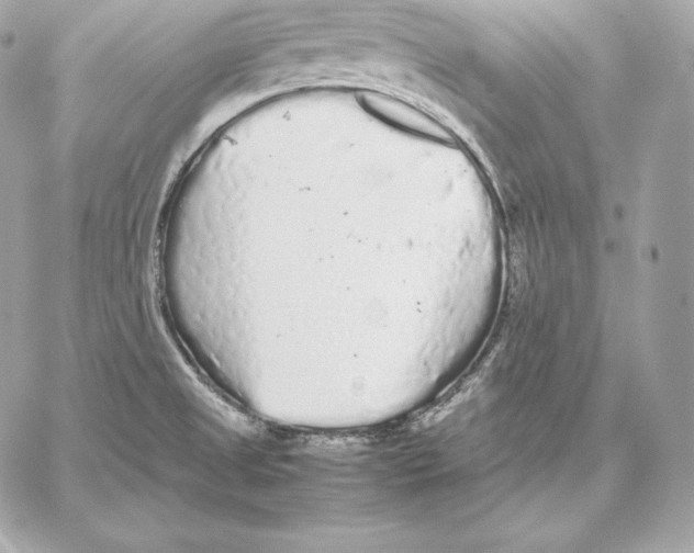 X0000059801525200511111548