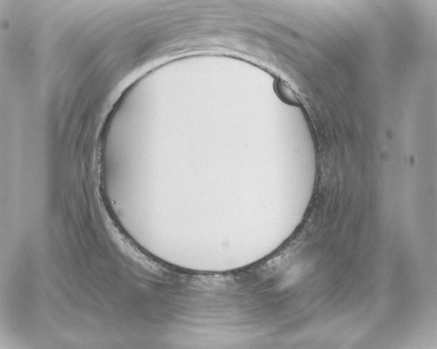 X0000059801526200511111548