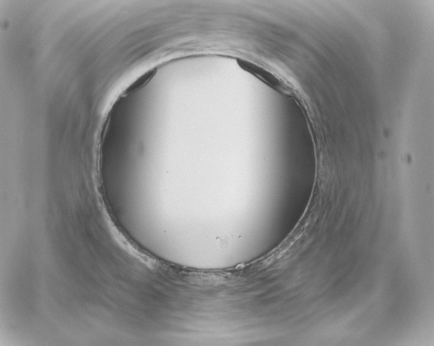 X0000059801528200511111548