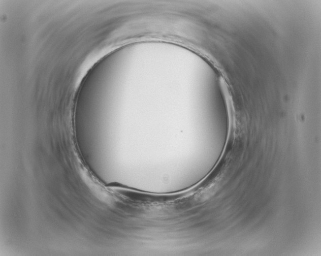 X0000059801530200511111548