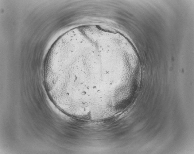 X0000059801531200511111548