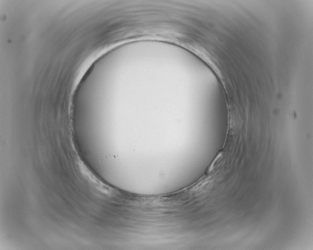 X0000059801532200511111548