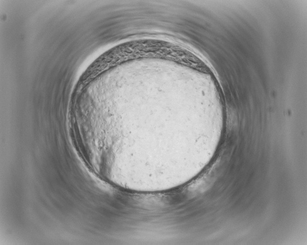 X0000059801533200511111548