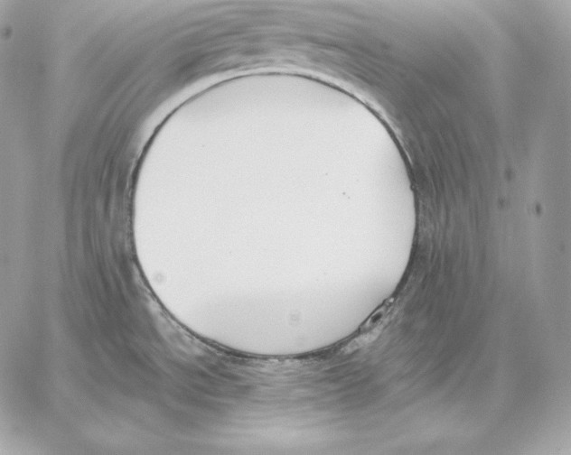 X0000059801534200511111548