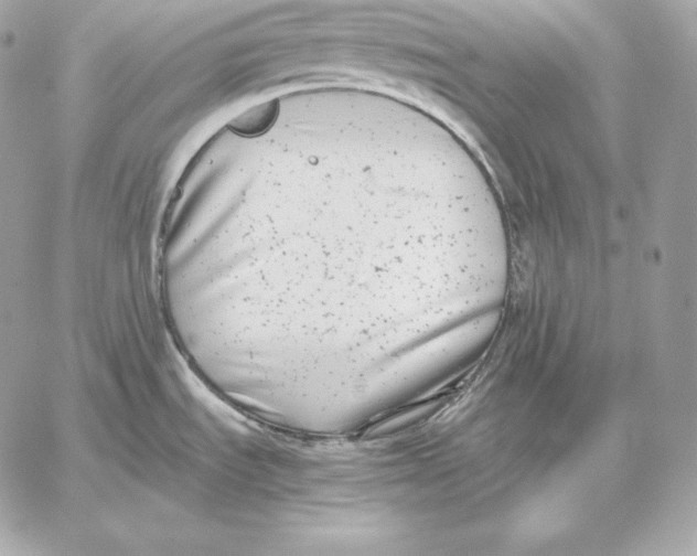 X0000059801535200511111548